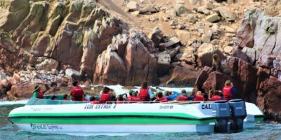 Ballestas Islands Tour